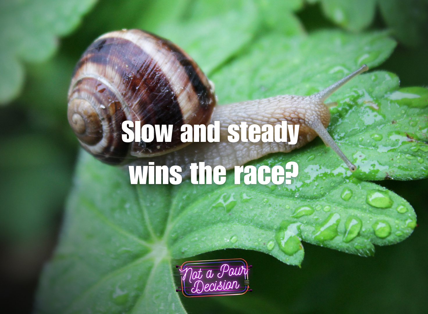 Slow and steady wins the race?
