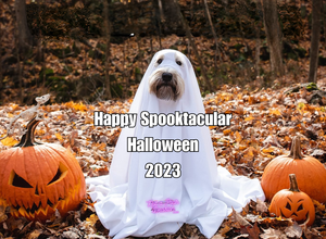 Halloween 2023 FUN post feature image